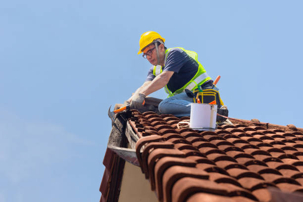 Best Roofing for New Construction  in Viola, IL